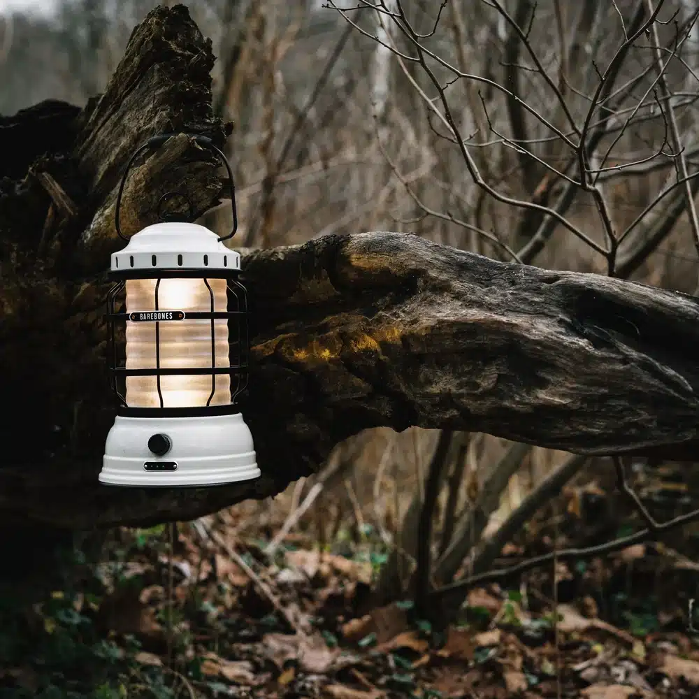 FA0AAG9ER5gBAAAACAA (4)